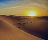Escursione nel Deserto