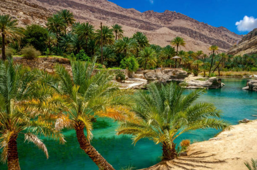 OMAN: TOUR MUSCAT E DINTORNI
