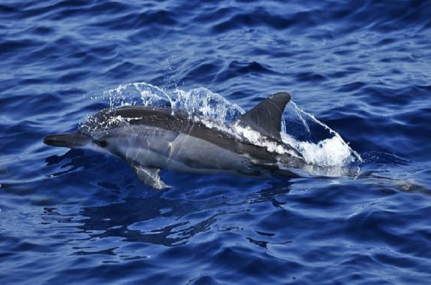 Oman: un tuffo oltre i confini