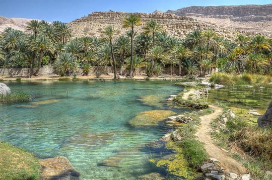 OMAN: TOUR MUSCAT E DINTORNI