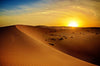 Escursione sul Deserto